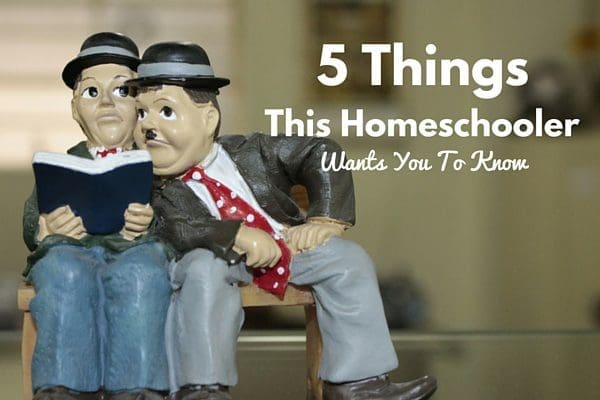 5 Things This Homeschooler Wants You To Know | Rochester MN Moms Blog