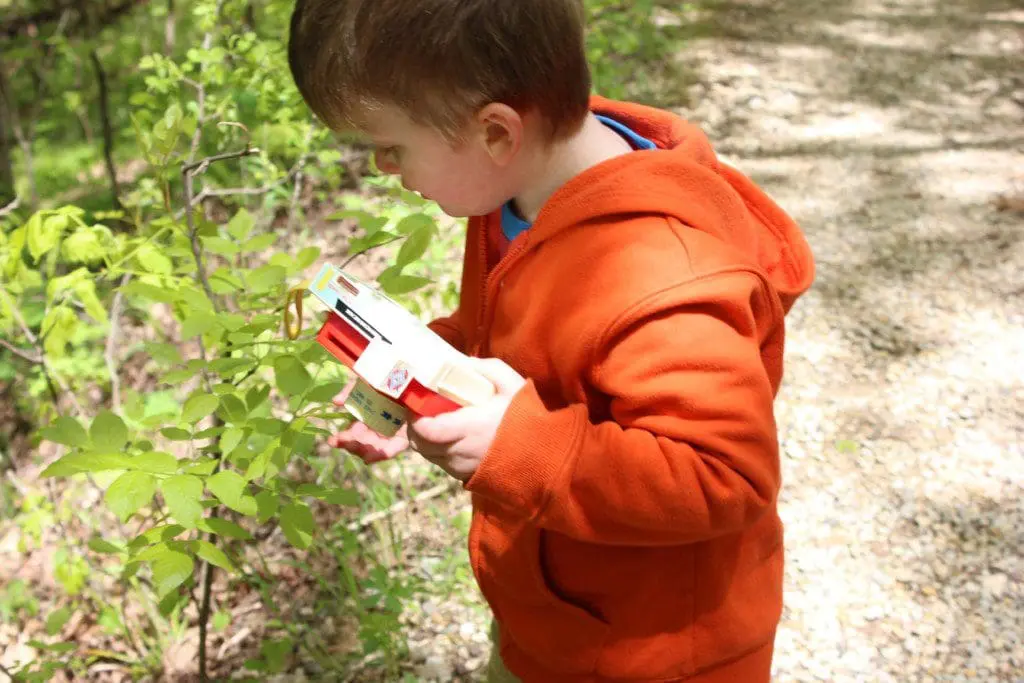 Take a Little Trip: Nerstrand Big Woods | Rochester MN Moms Blog