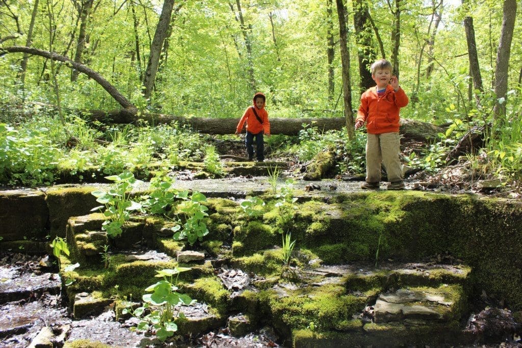 Take a Little Trip: Nerstrand Big Woods | Rochester MN Moms Blog