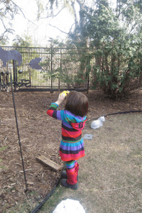 birdwatching, birds, rochester mn, kids, nature, birds