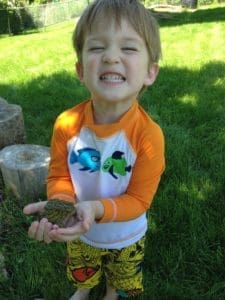 Playscape creative, grass, landscape, natural, nature, outdoor toys, outside, outside play, play, playscape, rocks, water, yard