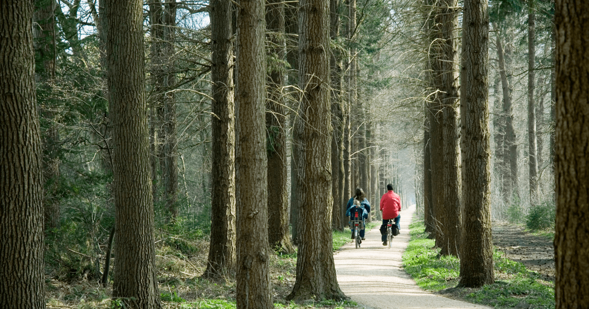 Rochester MN Guide to Biking