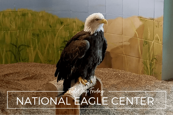 Day Trip Idea: The National Eagle Center