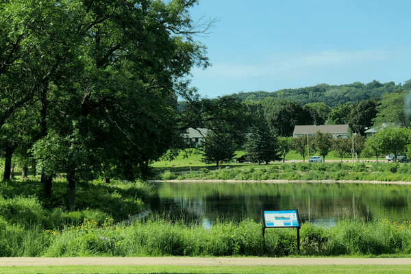 rochester mn, roch mn, silver lake, rochester silver lake, geese, pool, skate park, bike playground, walking, things to do