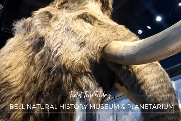 Bell Natural History Museum and Planetarium