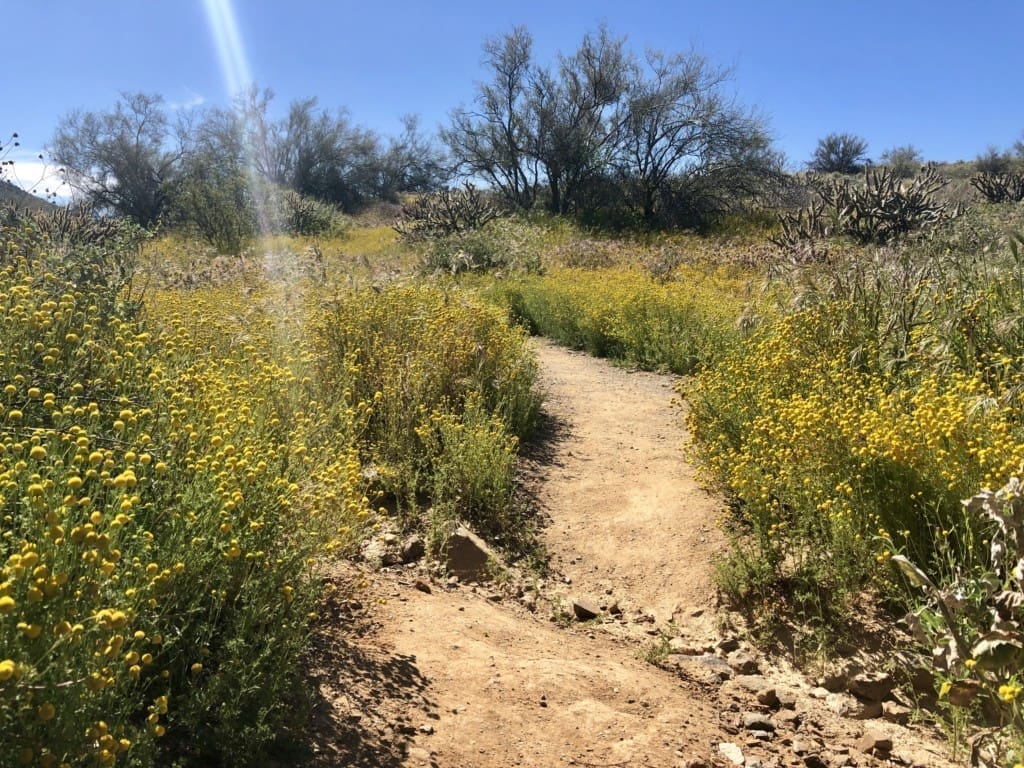 desert hiking trail