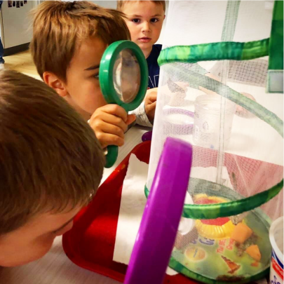 early education and preschool