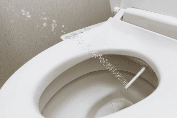 bidet