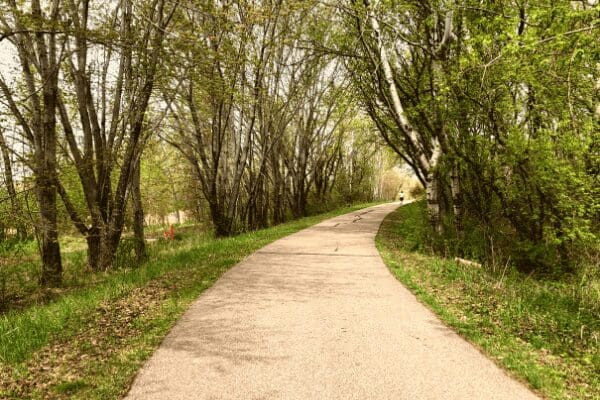trail in the woods