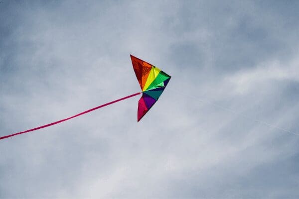 kite