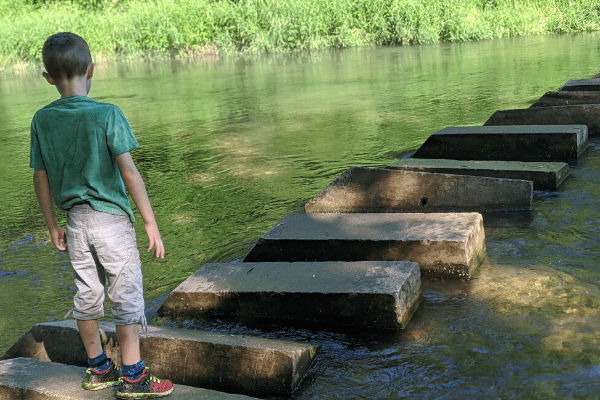 boy walking on bridge over water