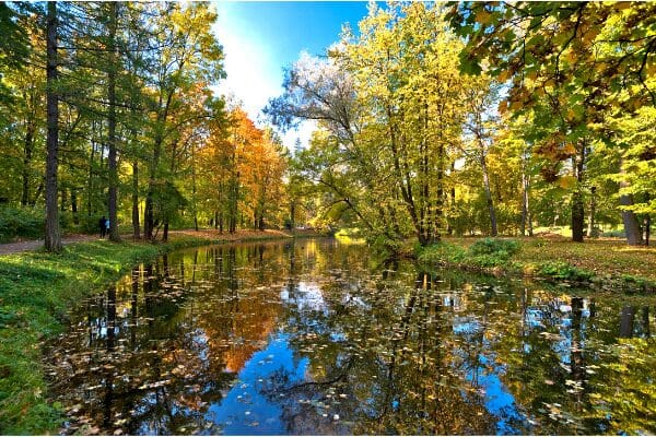 river, trees in autumn
