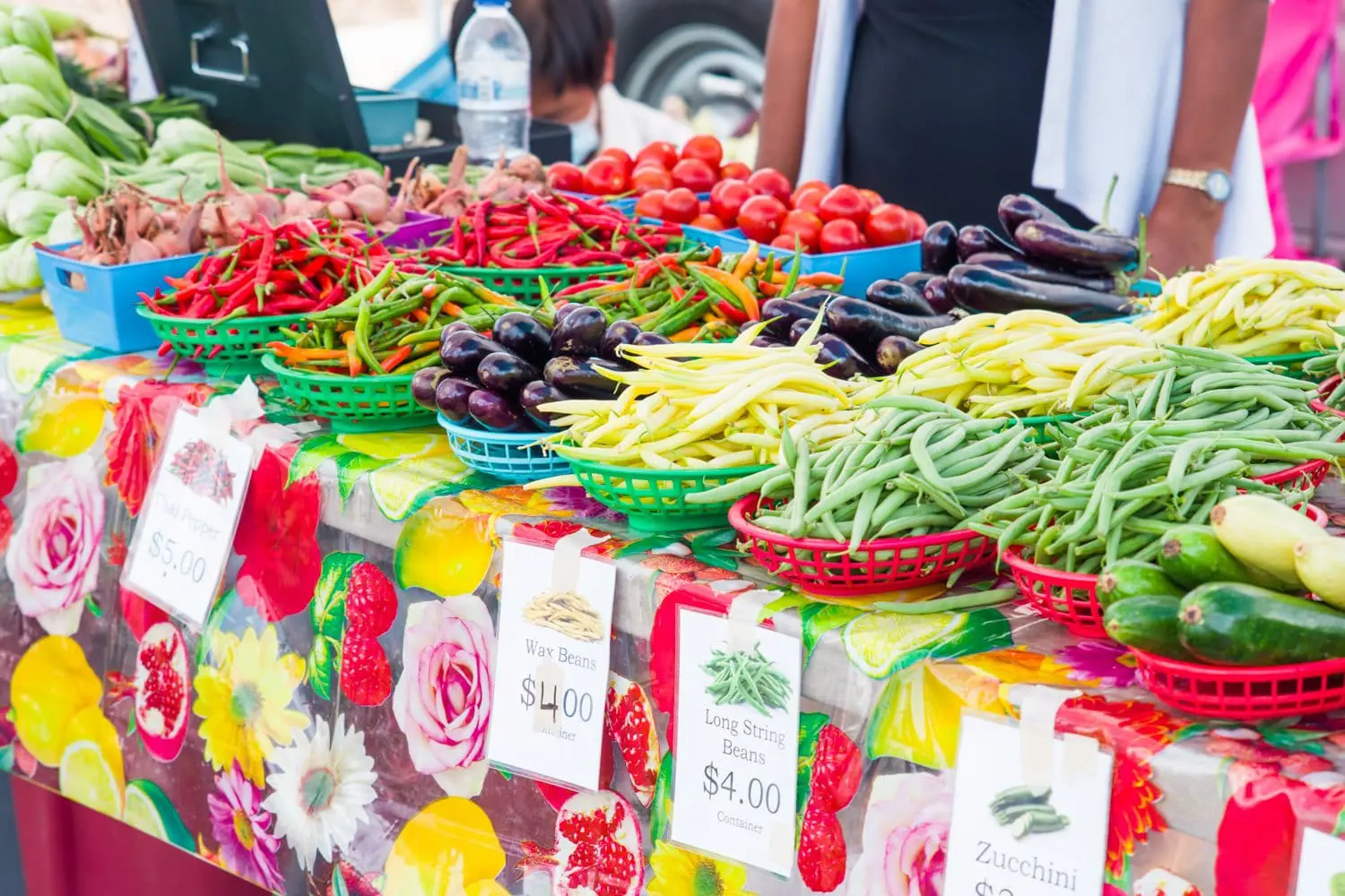 Guide to the Rochester MN Farmers Market