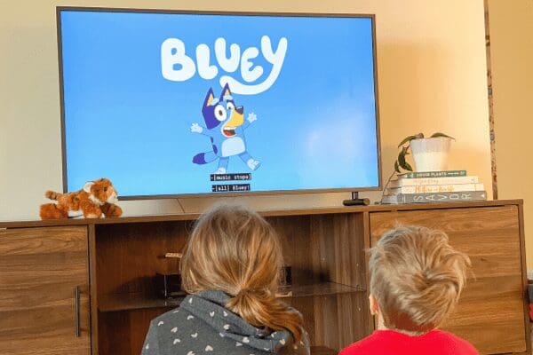bluey