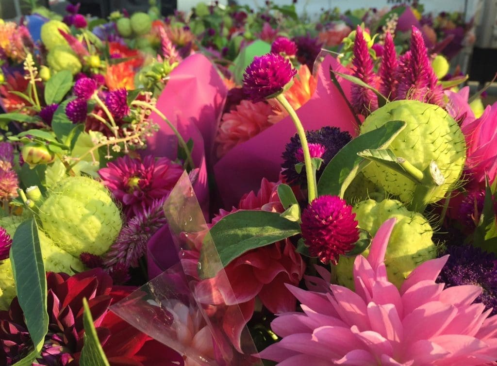 rochester farmers market