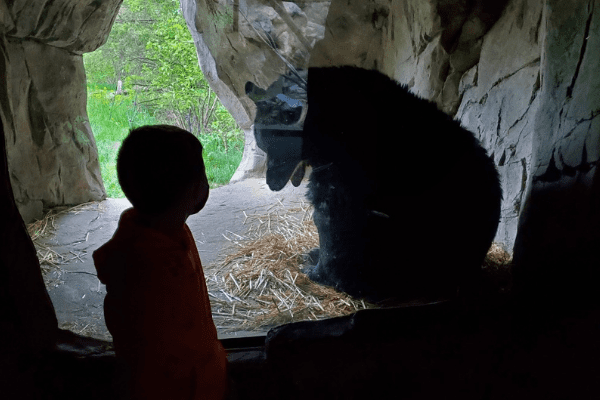Field Trip Friday: Minnesota Zoo