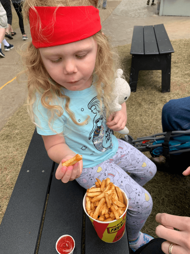 minnesota state fair