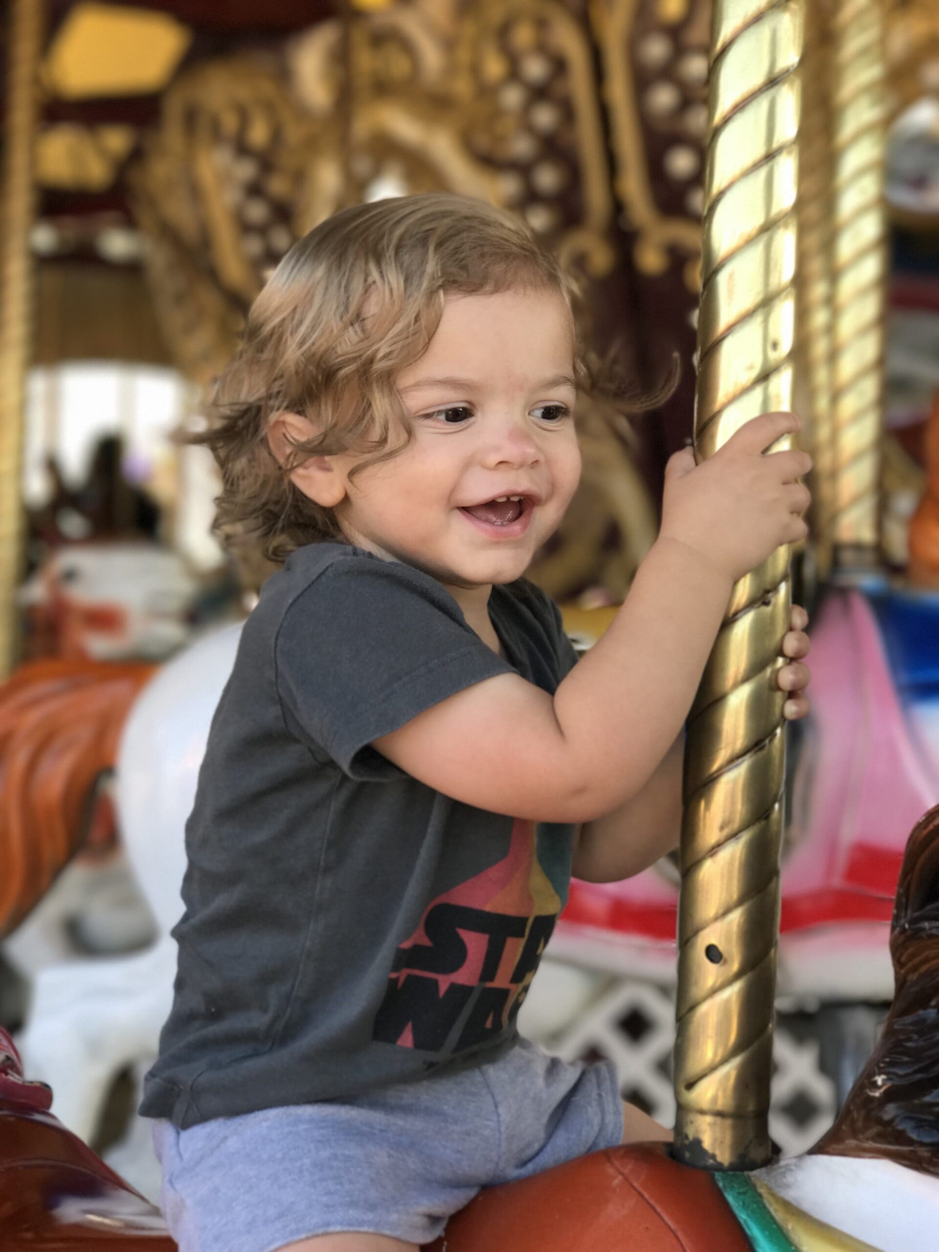 olmsted county fair