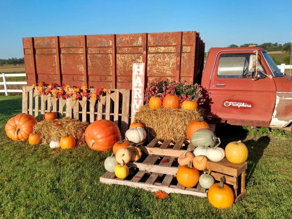 southern mn pumpkin patches