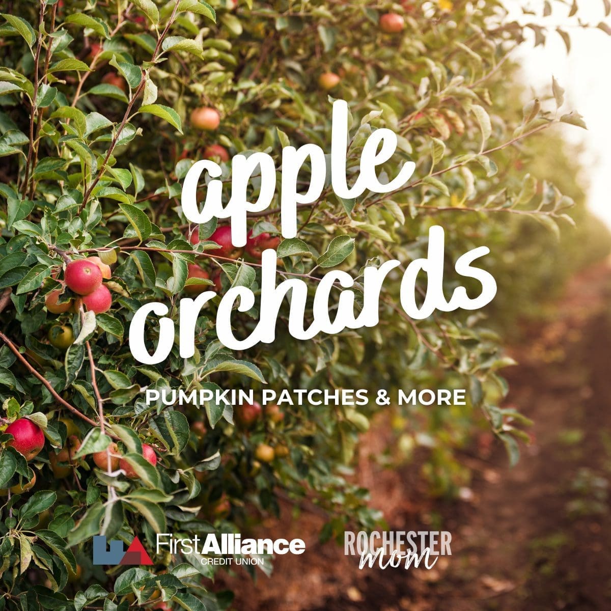Rochester MN Guide to Apple Orchards, Pumpkin Patches & More