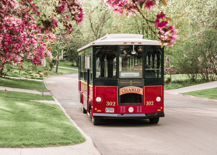 spring break field trips rochester trolley & tour co