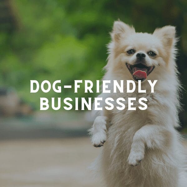 dog-friendly patios