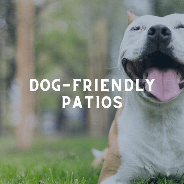 dog-friendly patios