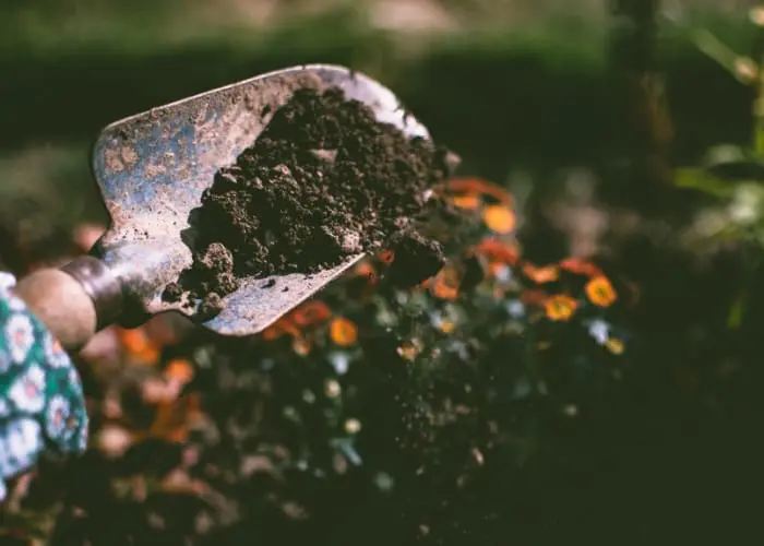 gardening