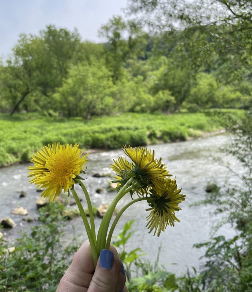 Whitewater State Park