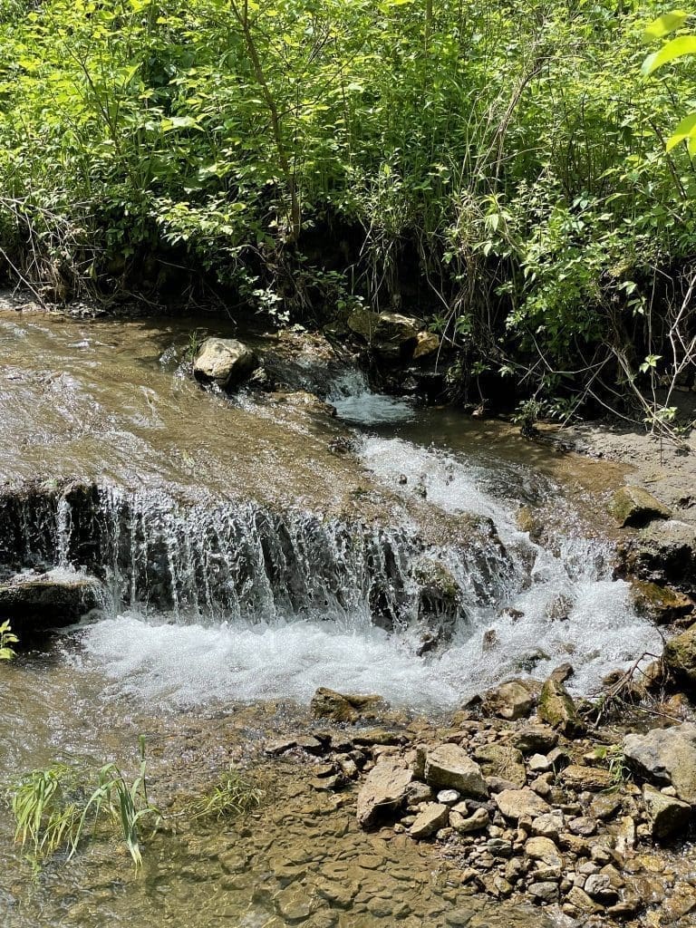 Whitewater State Park