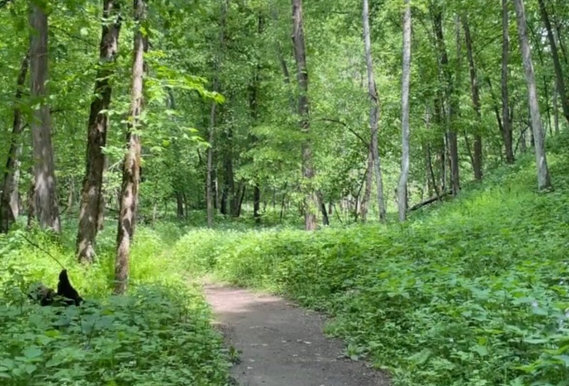 Whitewater State Park