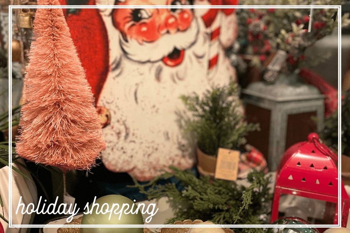 Rochester MN Holiday Shopping | Rochester Local holiday shopping