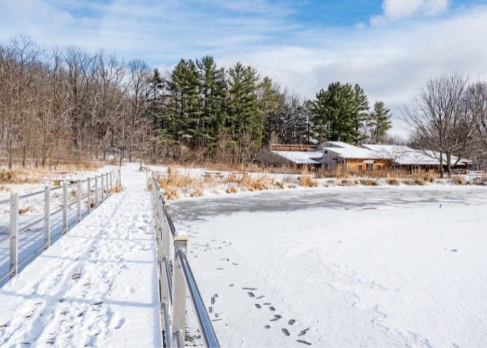 groomed winter trails