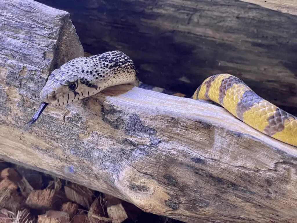 oxbow park nature center