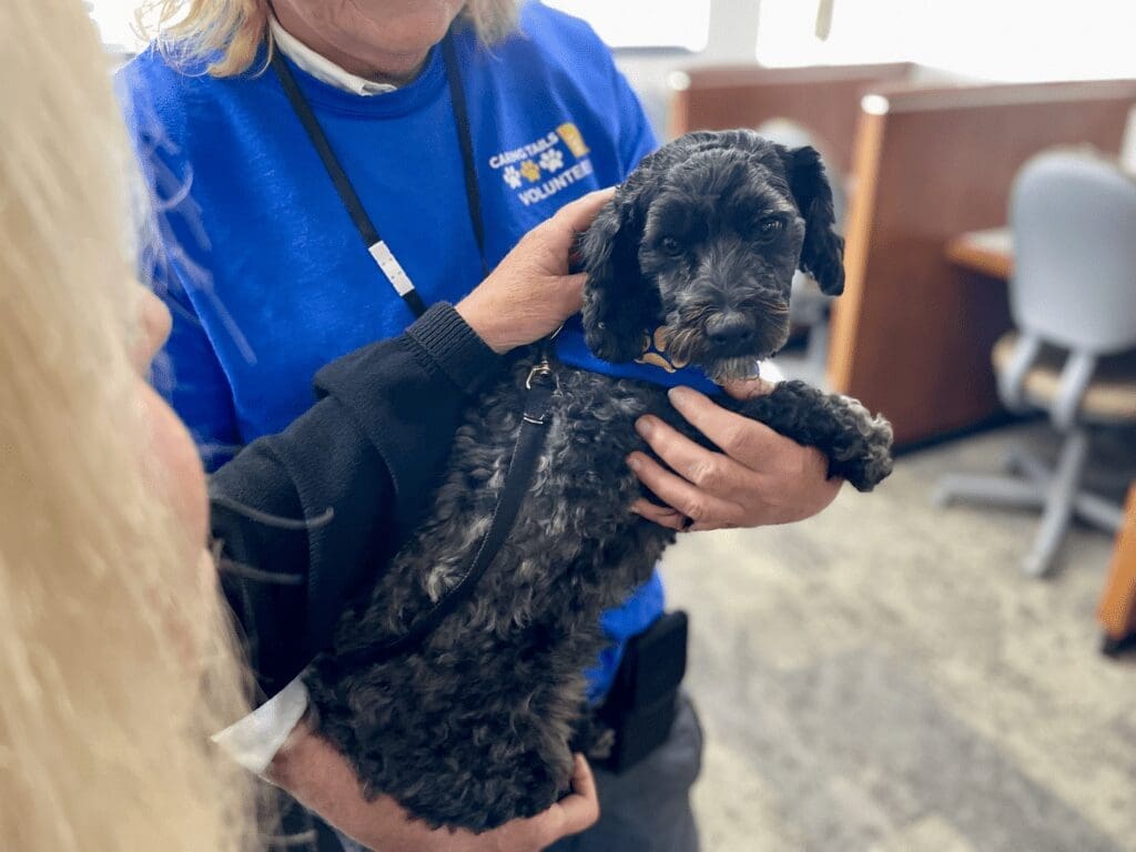 caring tails therapy dogs