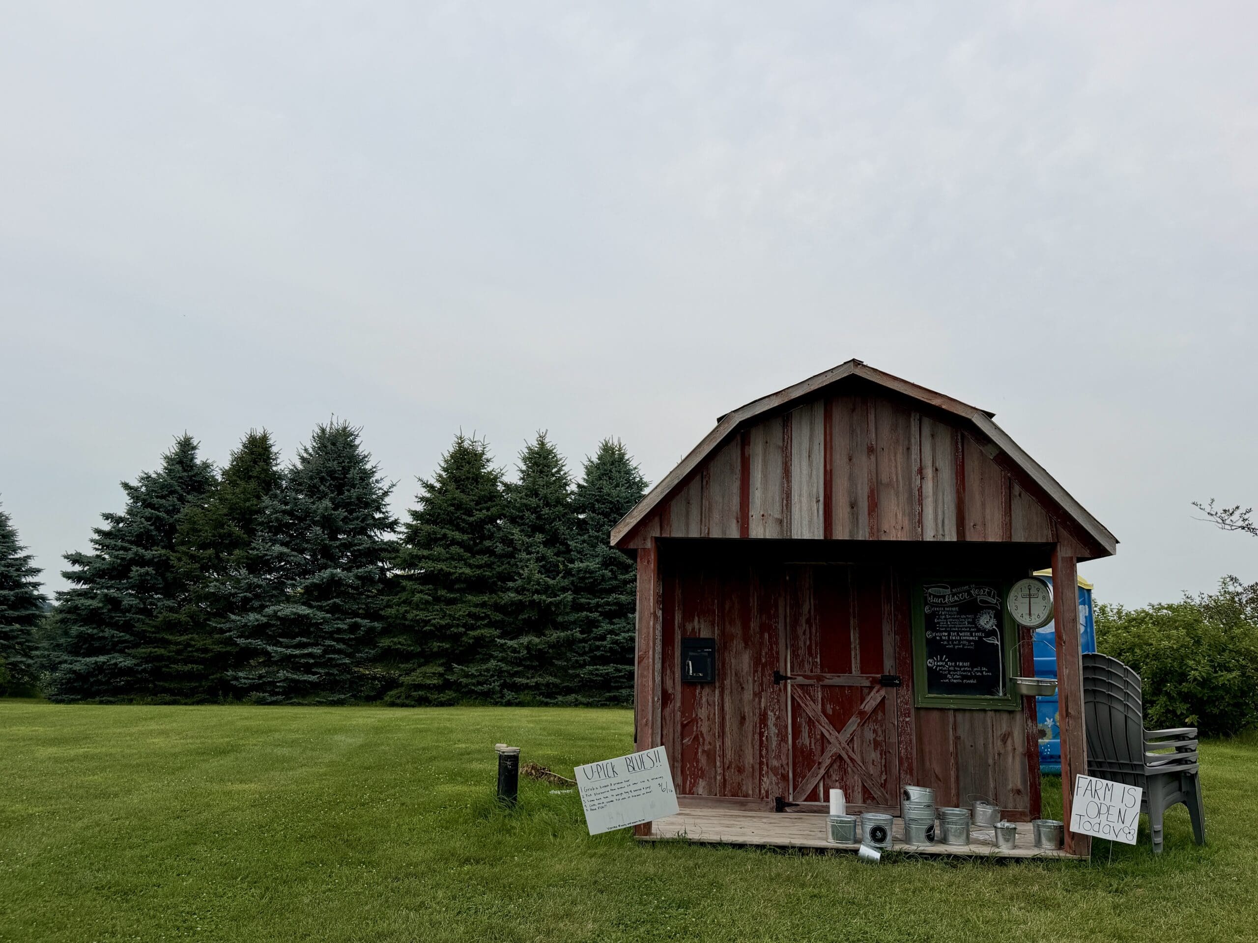Berry and Bloom Farm