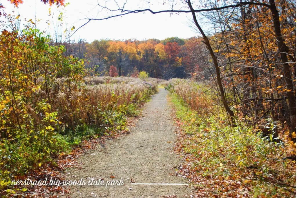 rochester mn fall colors