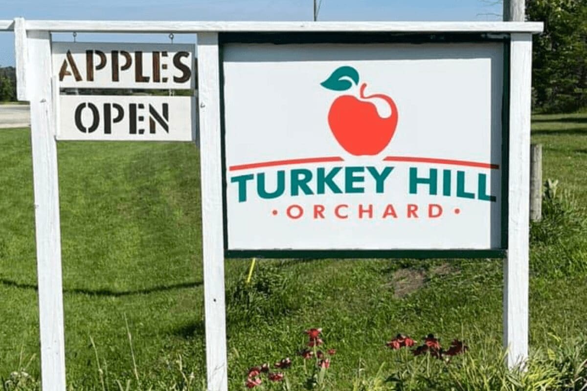 apple orchard