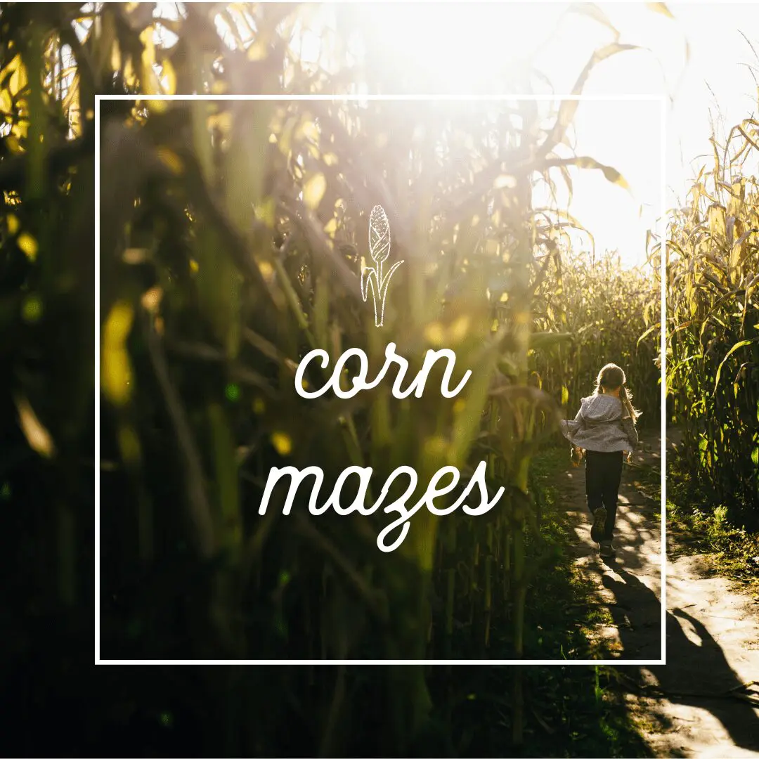 Rochester MN Guide to Fall: Festivals, Orchards, Halloween & More! | Rochester Local guide to fall