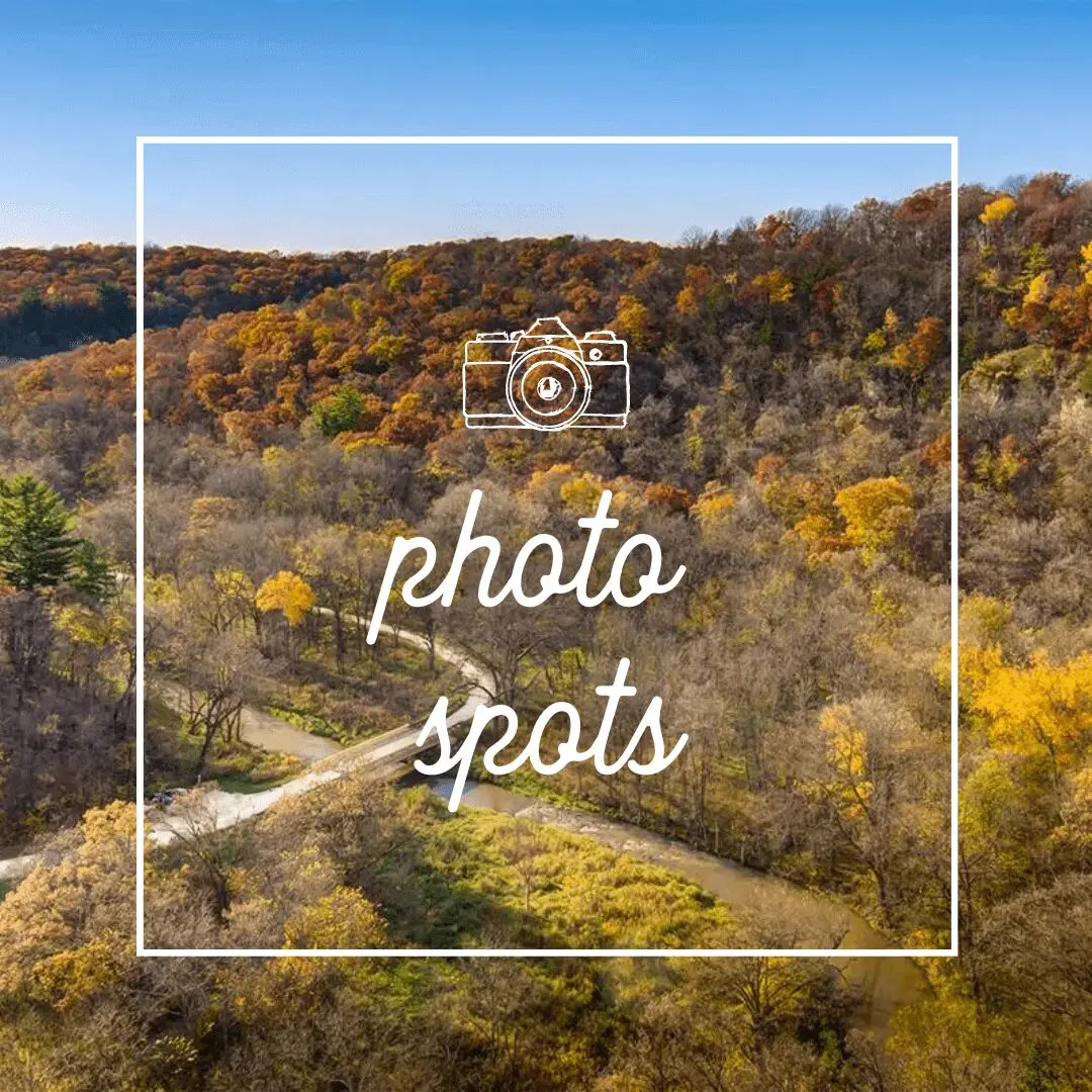 Rochester MN Guide to Fall: Festivals, Orchards, Halloween & More! | Rochester Local guide to fall