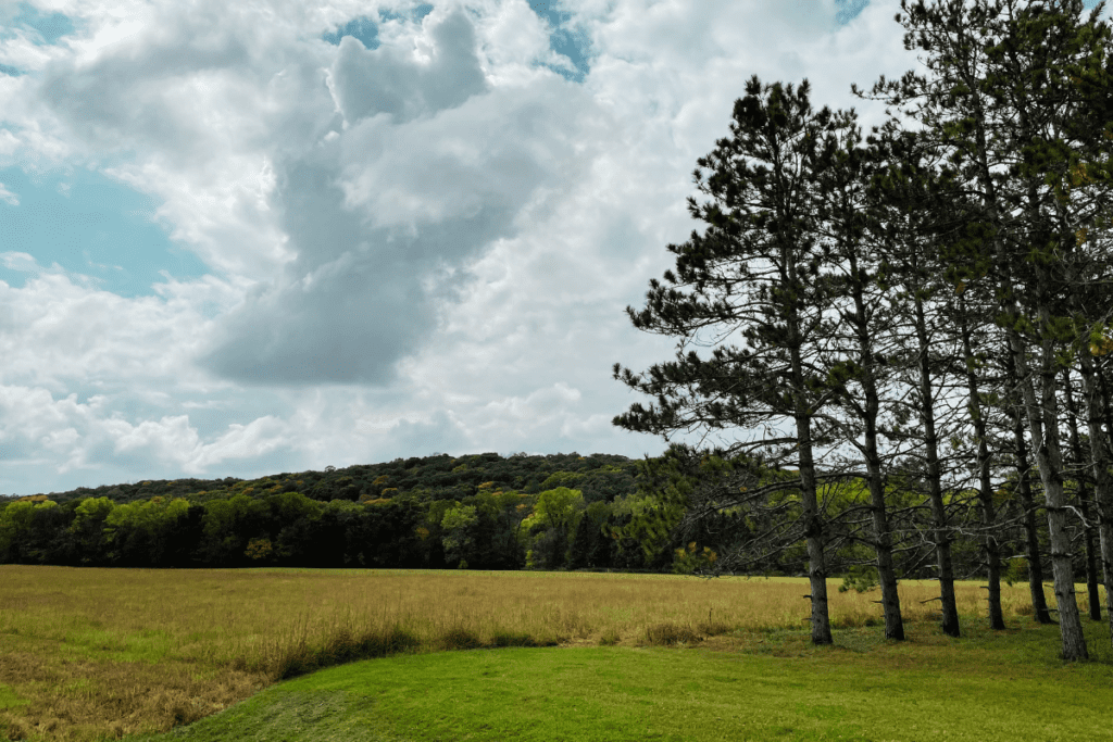 fall photo spots