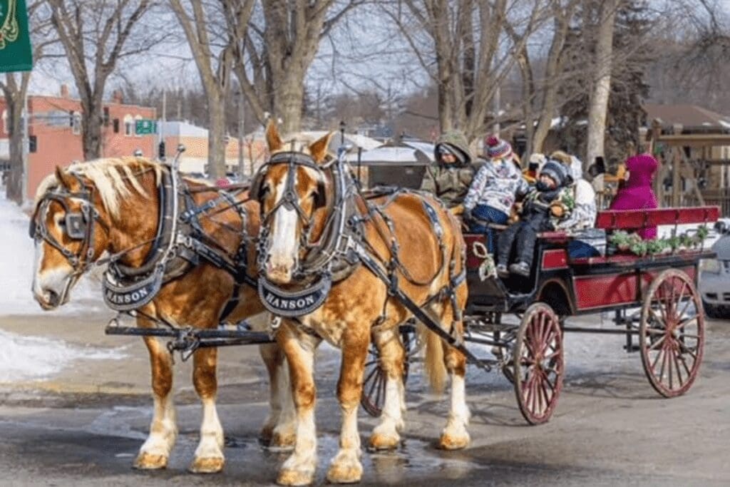 sleigh rides