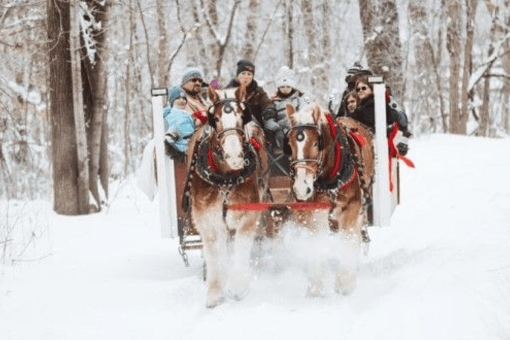 sleigh rides