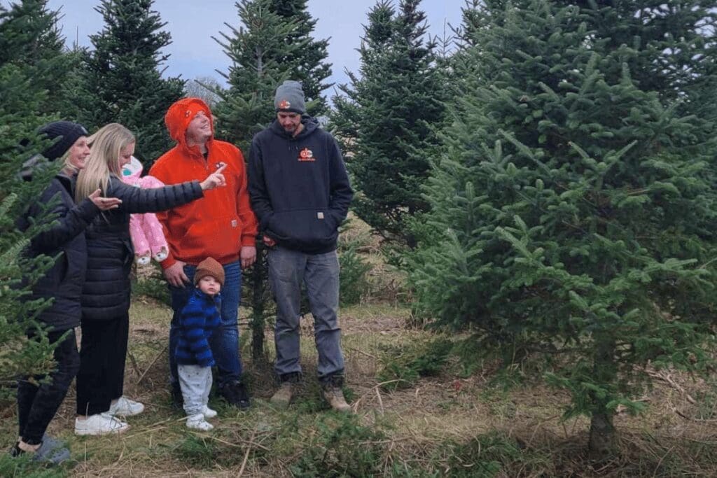 christmas tree farms