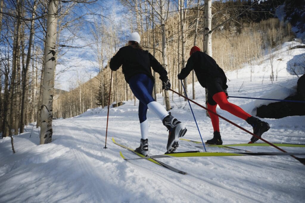 Two cross-country skiers in the snow