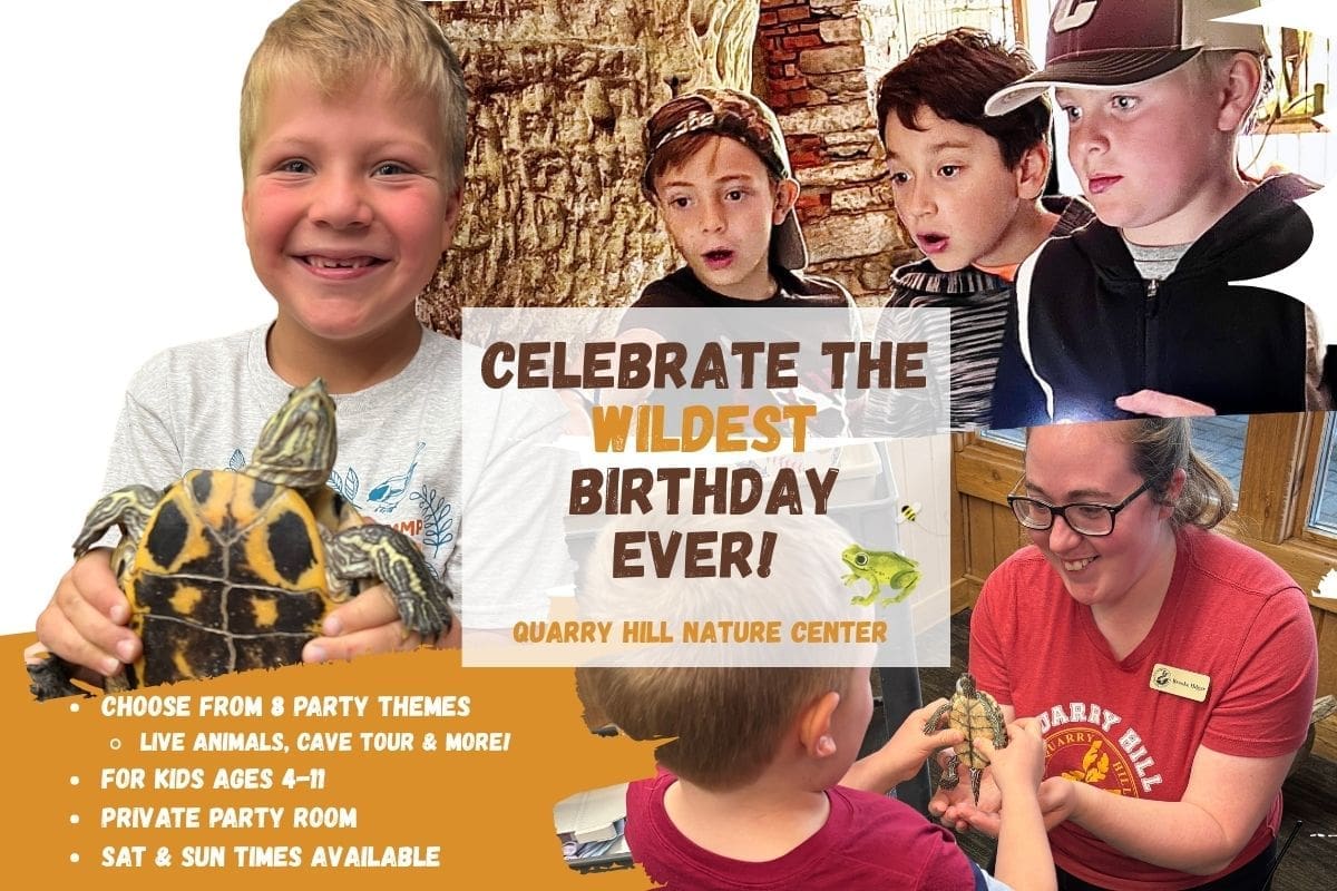 Quarry Hill Nature Center BIrthday Parties birthday parties