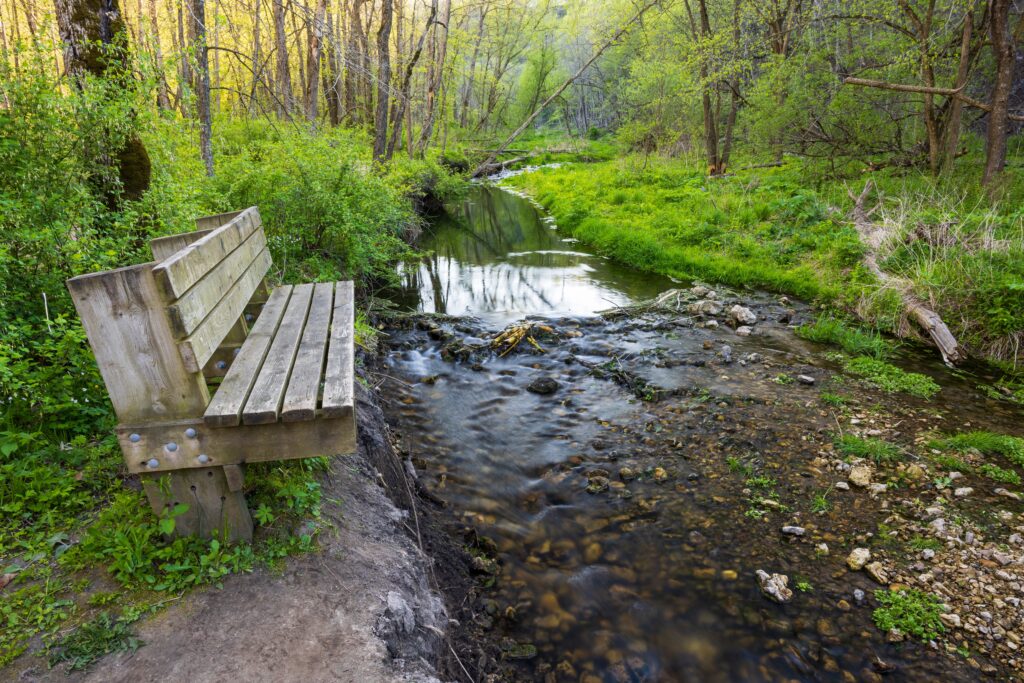 free park admission day