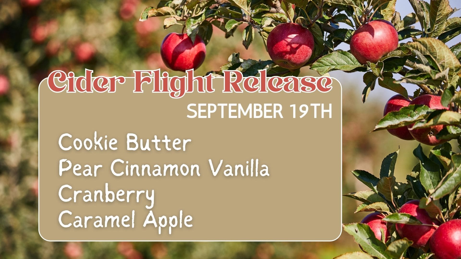 Friday Night Flights Cider (1)