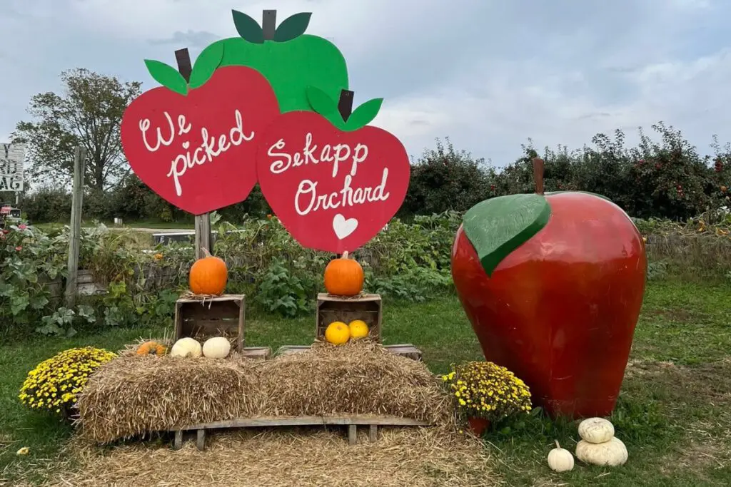 apple orchards and pumpkin patches