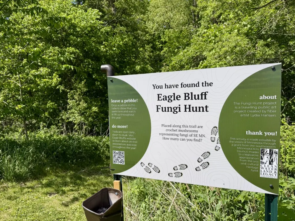 Eagle Bluff Fungi Hunt
